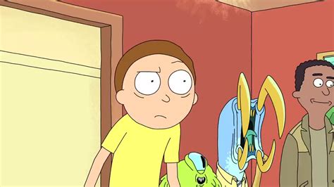 rick and morty s01e11 bdscr